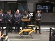 משטרת ניו יורק מוסיפה את ‘ספוט’,כלב רובוט, לכוח המשטרתי.